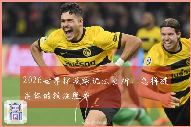 2026世界杯滚球玩法分析，怎样提高你的投注胜率