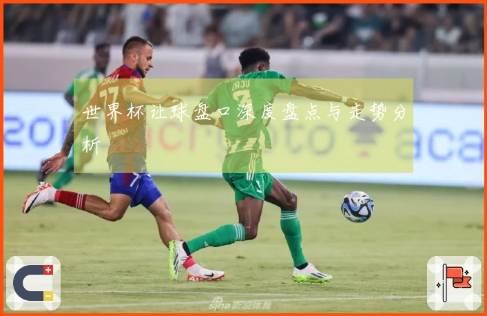 世界杯让球盘口深度盘点与走势分析